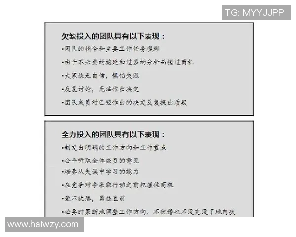 深圳排球队的团队协作精神与战术配合探讨
